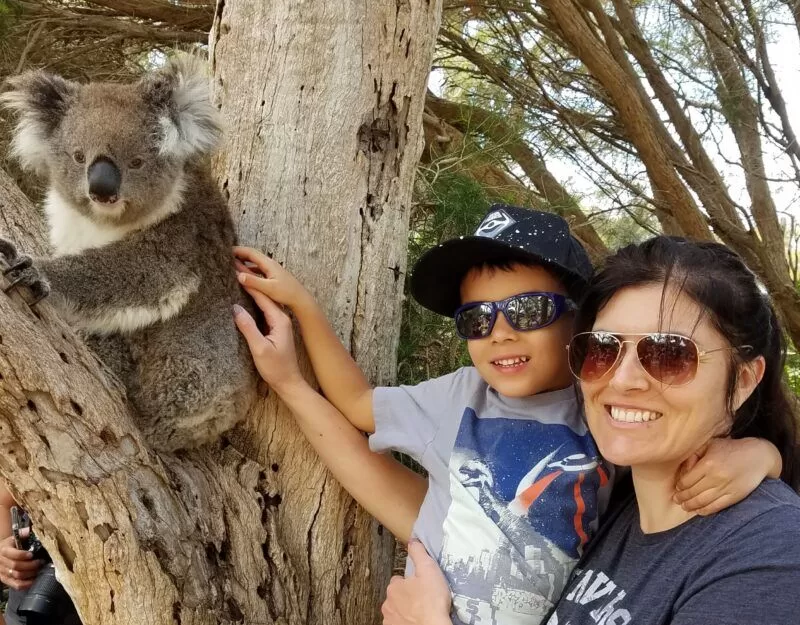 Erika Bud and son petting koala sitting in a tree
