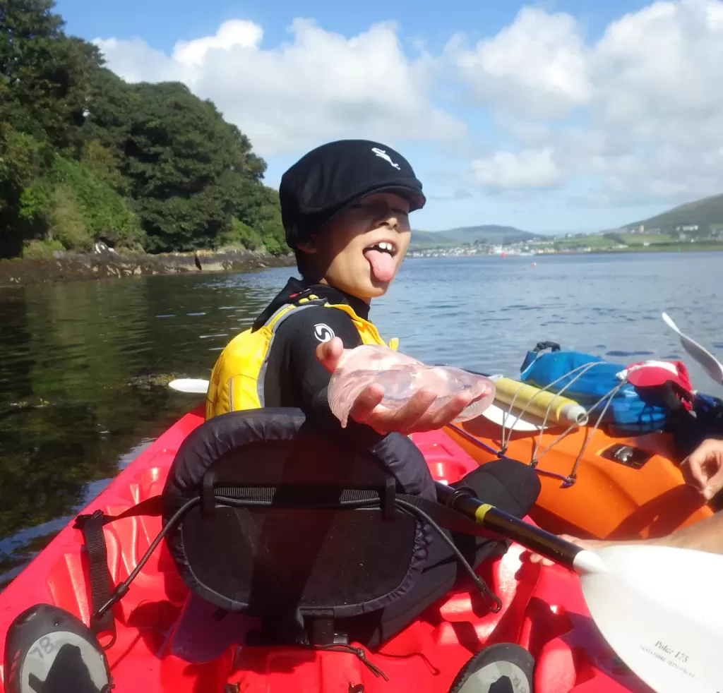 Author, Erika Bud's son holding a jellyfish while kayaking in Dingle Bay, Ireland